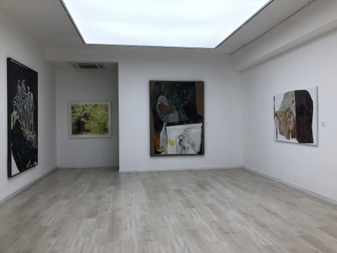 六禾空間在北京正式開(kāi)幕，首展推出吳維佳近作《藏山青》