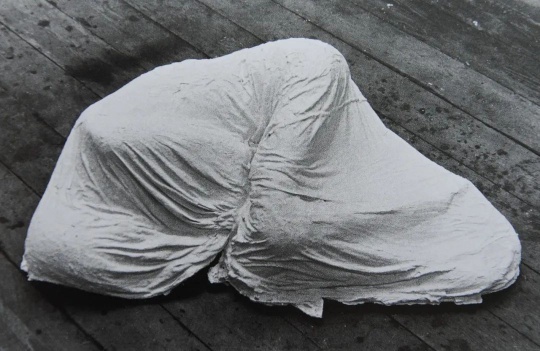 
《睡宮》 22×91×106cm 
石膏、麻 1973 ?藝術家
