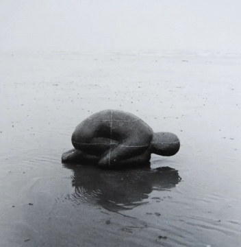 
安東尼·葛姆雷 “大地、大海和天空”系列二
《大地》（蜷伏人像） 
45×103×50cm  鉛、玻璃纖維 1982
?藝術家

