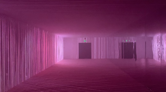 黛安·塞弗林·阮《你年輕嗎？不要緊》外灘美術(shù)館展覽現(xiàn)場
