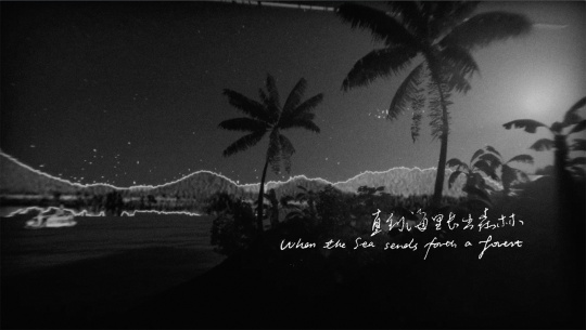 劉廣隸 《直到海里長(zhǎng)出森林》 實(shí)驗(yàn)紀(jì)錄片 21’10” 2020
