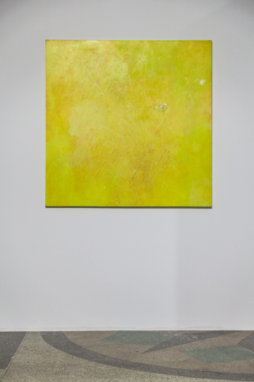 《Pieris Rapae》150×150cm 
布面丙烯 2015
“南風”展覽現(xiàn)場
天線空間上海，2015
王墑的健身是藝術(shù)呈現(xiàn)，是他藝術(shù)思想的維度之一。

人通過運動塑造自己的肌肉和形態(tài)，像雕塑一樣。

他覺得“運動”如同身體與藝術(shù)和思想中間的介詞，

在跳的過程中，實際上是他在消耗自己身體的能量，

但是產(chǎn)生新的能量，賦予精神，賦予色彩，賦予畫面。

它形成了一個身體與思想能量轉(zhuǎn)換的機制。

