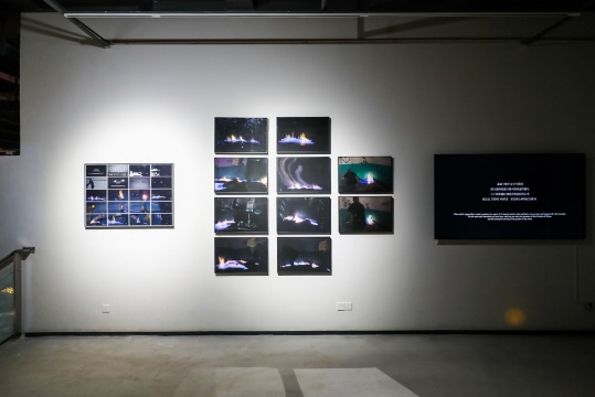 管懷賓 《焰園》 尺寸可變 攝影、影像 2013～2018
