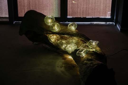 王昊悅 《呼吸》 裝置 180x85x85cm 玻璃、樹干、呼吸燈、燈串 2024
