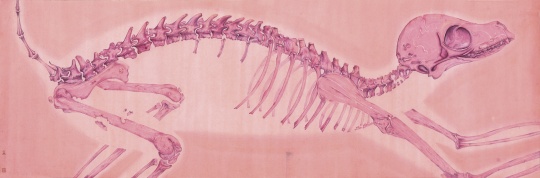 趙方方《x.x》105×40cm 紙本彩墨 2015
