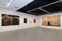 王家增個(gè)展 非偶然性變化