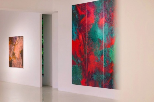 郝方圓最新個(gè)展“肉身之外”在YOUNG美術(shù)館開幕