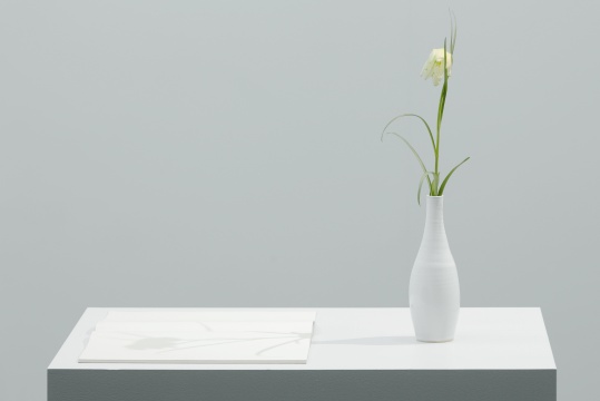 于爾根·斯塔克《光之素描（貝母屬/象棋花）》40×70×120cm 花瓶、A4 素描本、基座 2020
