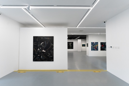 方建喜個(gè)展“幻影夢(mèng)跡” 在亙畫廊正式啟幕