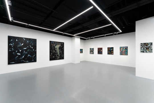 方建喜個(gè)展“幻影夢(mèng)跡” 在亙畫廊正式啟幕