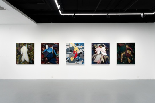 方建喜個(gè)展“幻影夢(mèng)跡” 在亙畫廊正式啟幕