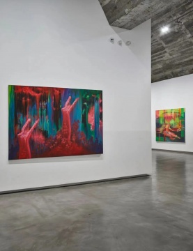 白石畫廊 遲鵬個展《上下限》
