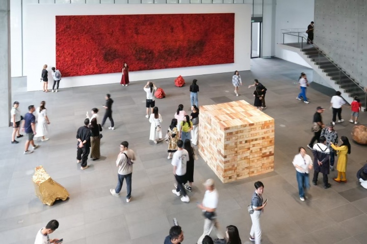 “博斯科·索迪：曠野之外”開幕現(xiàn)場和美術(shù)館