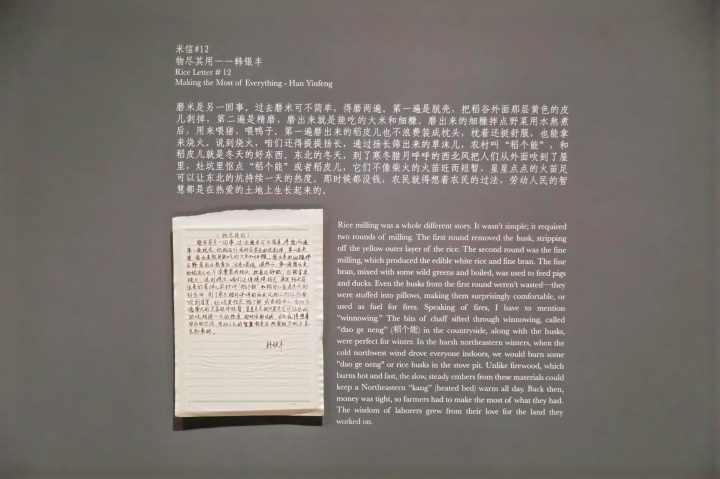 沈少民 從美術(shù)館的稻田里生長出來的作品