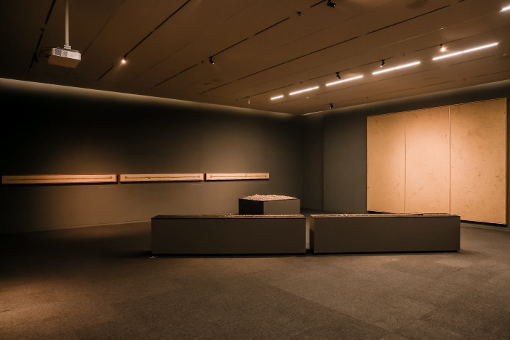 沈少民 從美術(shù)館的稻田里生長出來的作品