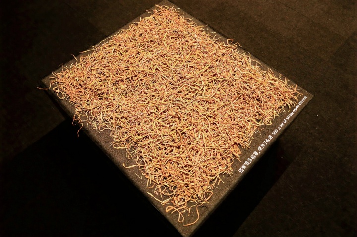 沈少民 從美術(shù)館的稻田里生長出來的作品