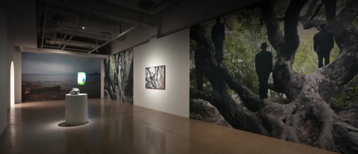 厲檳源個展“夜火藍山”現(xiàn)場
昆明當代美術館，2024
