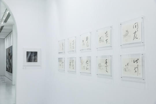 林于思個(gè)展“采大藥”，呈現(xiàn)現(xiàn)代化環(huán)境下的避世仙境