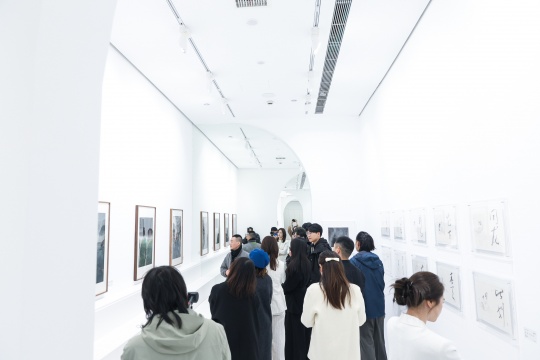 《采大藥》展覽現(xiàn)場(chǎng)
