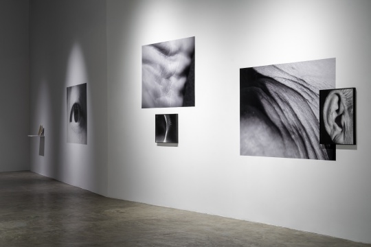 展覽空鏡-5
《過去的原野》 藝術家：劉清華
Wildlands behind, Artist: Jess Ching-Wa LAU
?? CHANEL  ?? 三影堂攝影藝術中心

