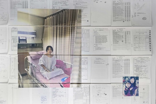 08773545，2025，紙、相片紙、壓克力、大頭釘，楊佳馨
? 楊佳馨

