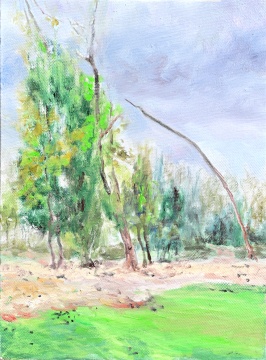 格物抒懷——張哲油畫風(fēng)景展，呈現(xiàn)自然的壯美詩(shī)篇