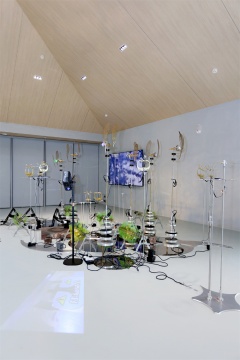 崍州蒸餾廠體驗中心盛大啟幕 首展“自然囈語”以藝術重構品牌生態(tài)敘事 崍州蒸餾廠體驗中心盛大啟幕 首展“自然囈語”以藝術重構品牌生態(tài)敘事