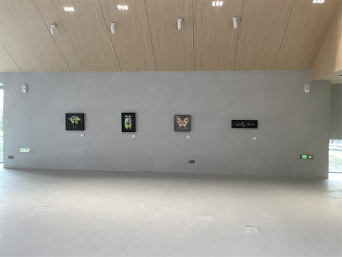 崍州蒸餾廠體驗中心盛大啟幕 首展“自然囈語”以藝術重構品牌生態(tài)敘事 崍州蒸餾廠體驗中心盛大啟幕 首展“自然囈語”以藝術重構品牌生態(tài)敘事