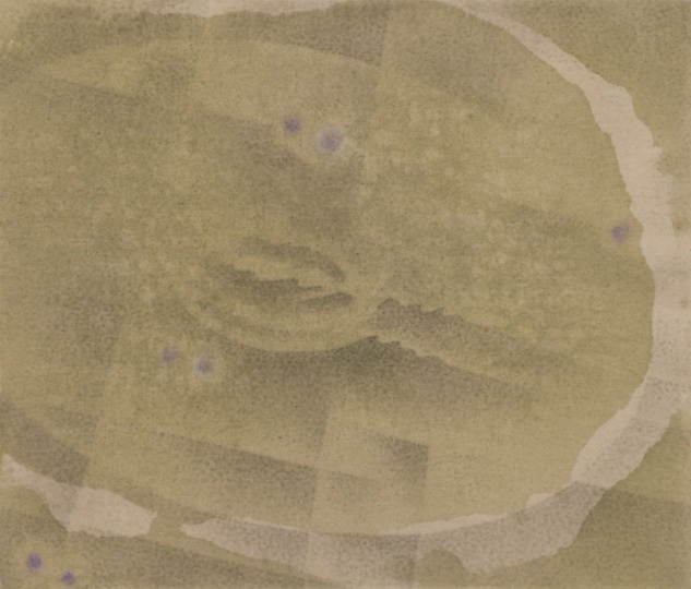 《藻類》85×100cm 墨、丙烯、色粉、赤玉土、亞麻布 2024
