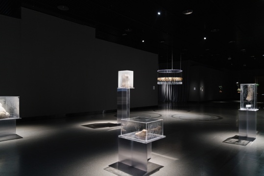 《流動的身體》，菌絲雕塑 & 影像，尺寸可變，2025，龍盼
