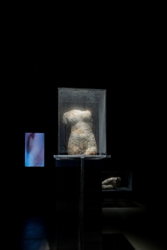 《流動的身體—上半身》，菌絲雕塑 & 影像，尺寸可變，2025，龍盼

