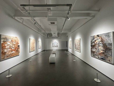 「大象循形——徐善循藝術(shù)展」在墨谷美術(shù)館開幕 「大象循形——徐善循藝術(shù)展」在墨谷美術(shù)館開幕