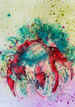 康鶴鳴 寄居蟹系列 42X30cm 紙本水彩 2025
